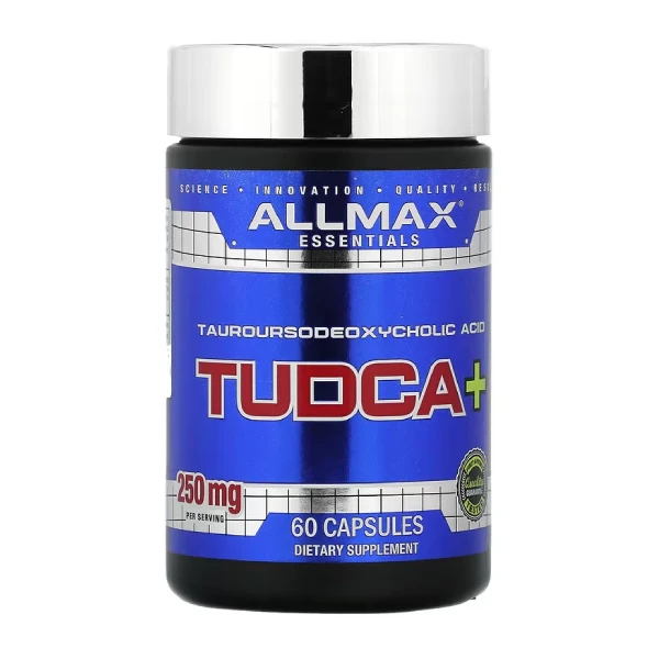 New-Project-2024-11-10T020605.130